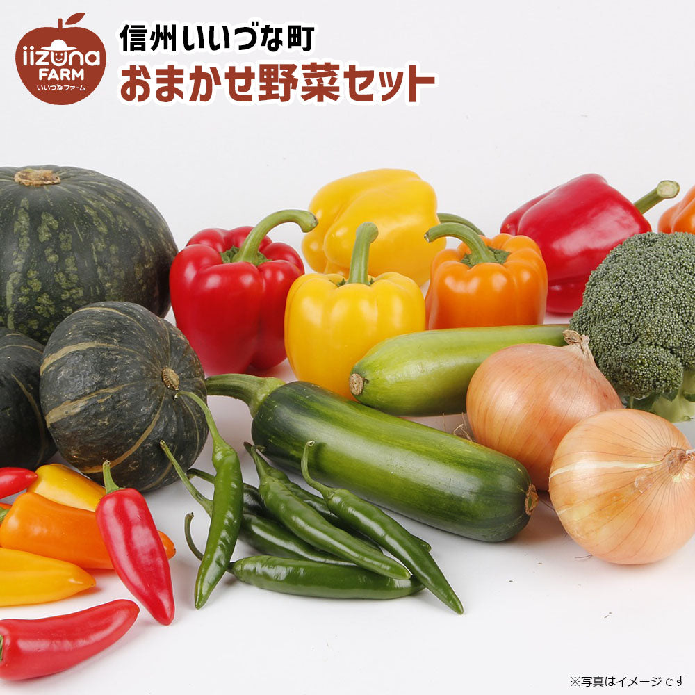 【おまかせ野菜セット】 野菜 セット クール便 長野県 飯綱町 みつどんマルシェ