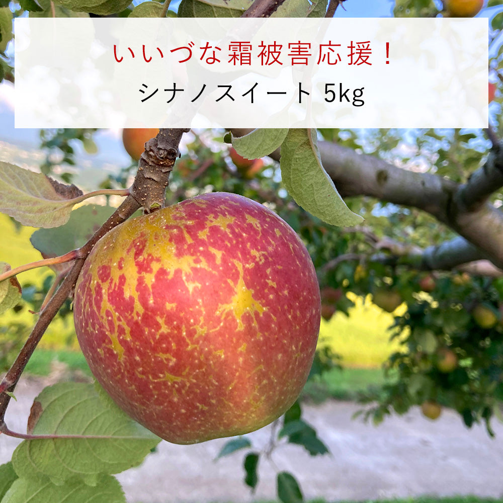 【いいづな霜被害応援!】飯綱町産 りんご シナノスイート 5kg 送料込