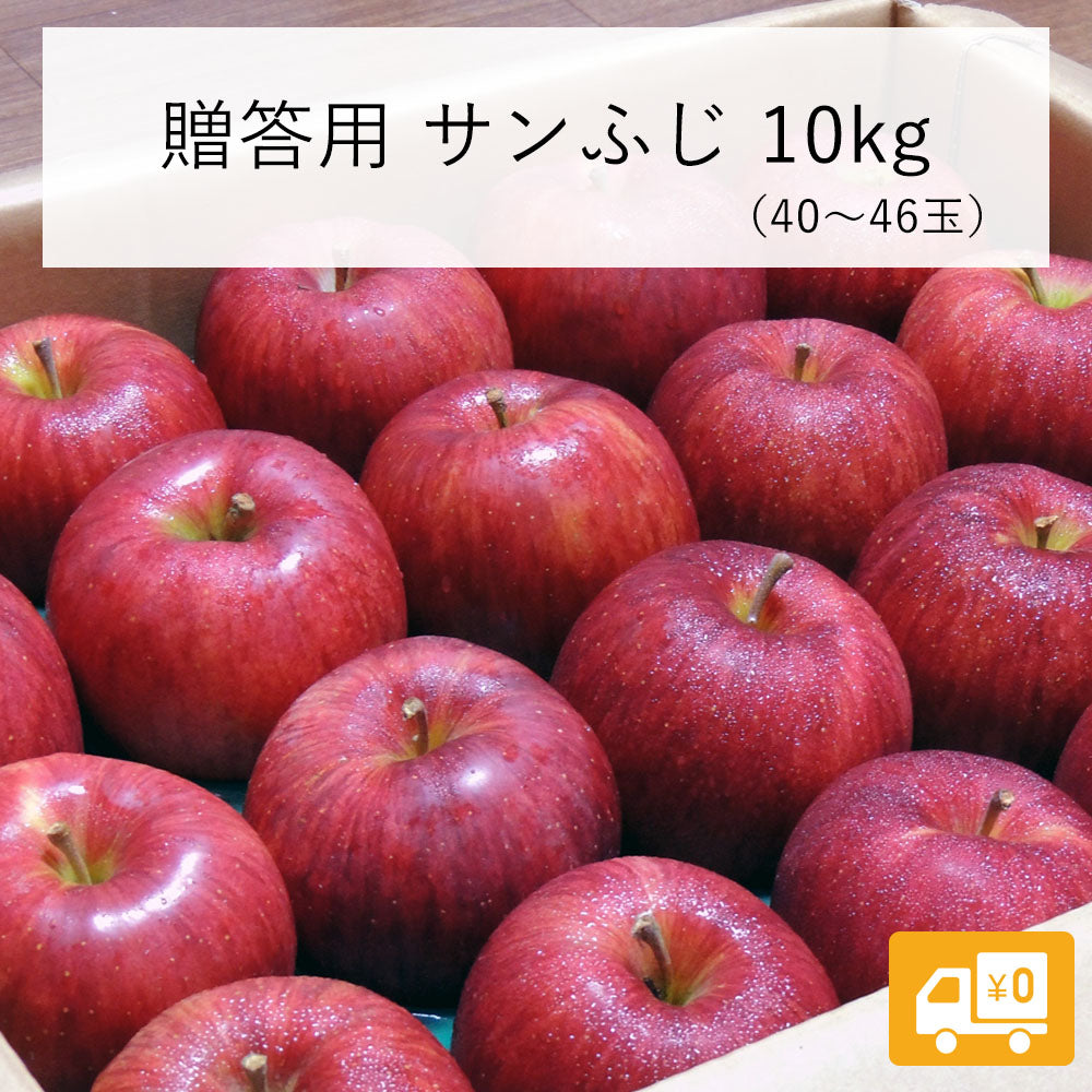 【りんご】 サンふじ 10kg( 40~46玉 ) 贈答用 送料込 長野県 飯綱町 みつどんマルシェ