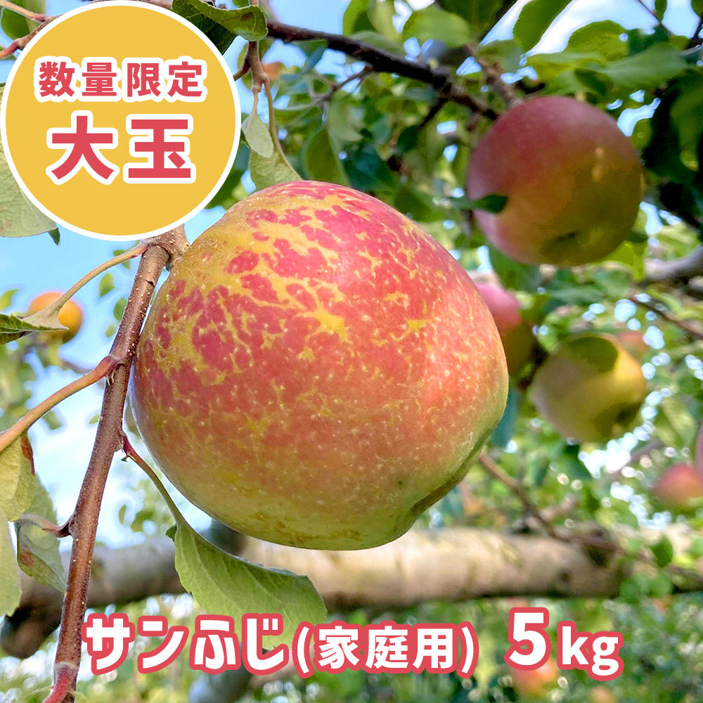残りわずか! りんご いいづな霜被害応援!! サンふじ 5kg 大玉 (13〜14個) 家庭用 送料込 長野県 飯綱町 みつどんマルシェ