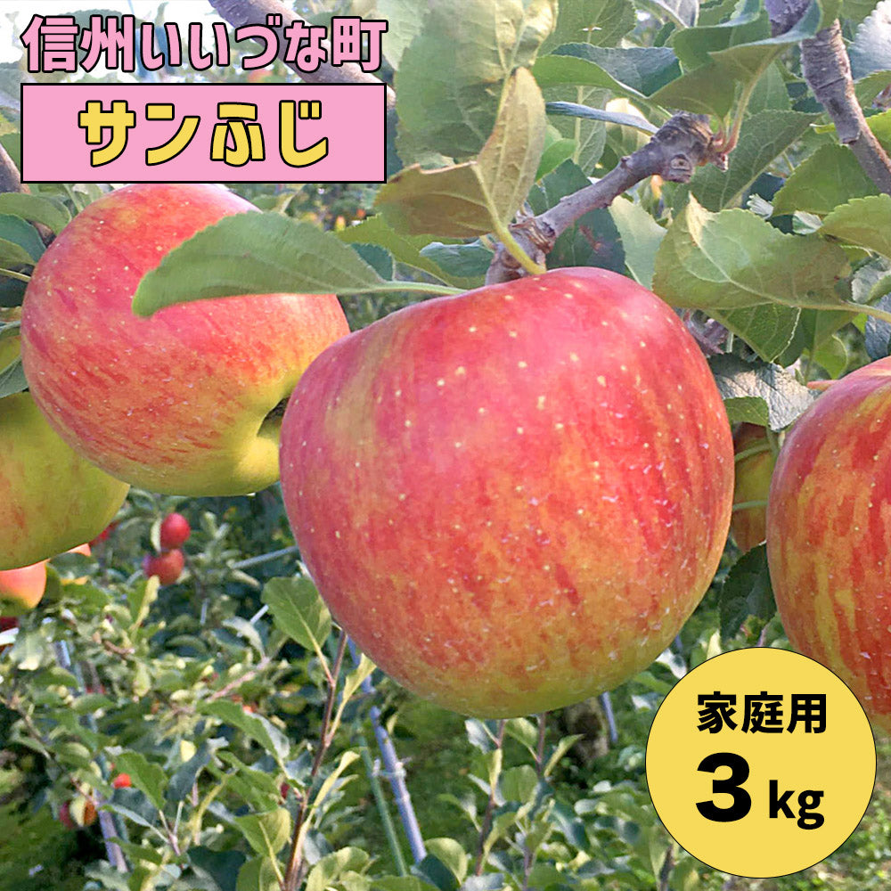 【りんご】 春待ちりんご!! 飯綱町産 サンふじ 3kg 訳あり 送料込 長野県 飯綱町 みつどんマルシェ