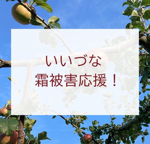 霜被害りんごの販売を開始しました！