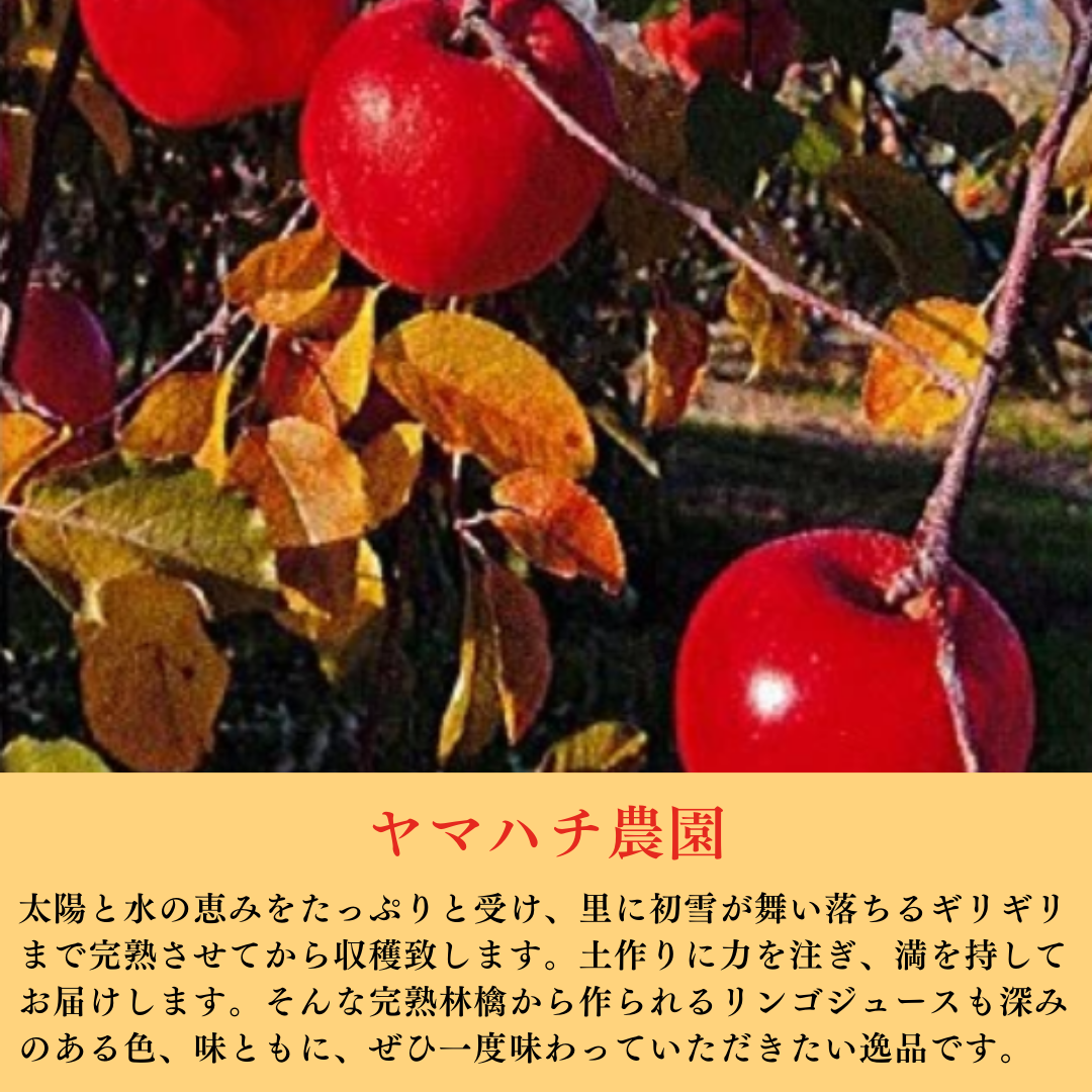 【りんごジュース】 りんごジュース 1L 1本 ストレート 長野県 飯綱町 みつどんマルシェ