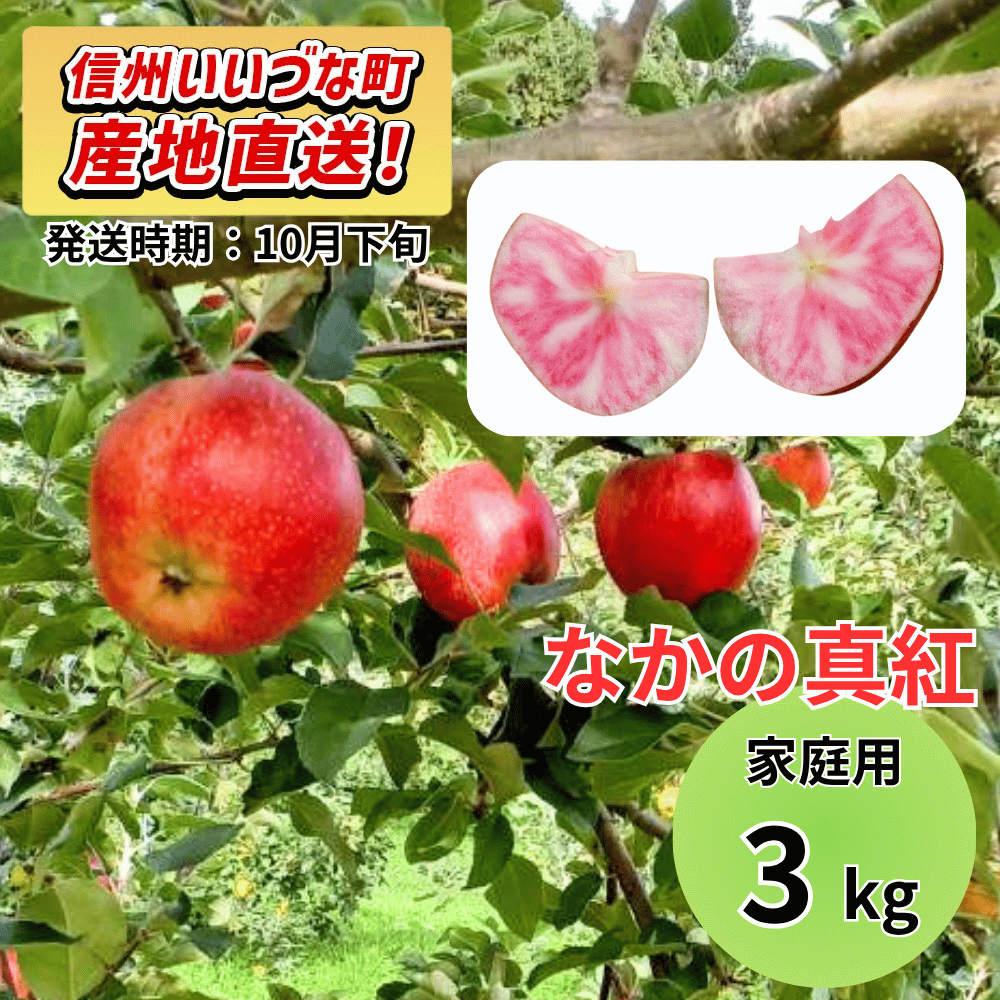 【りんご】 なかの真紅（なかのしんく） 3kg 予約販売 2026年10月下旬以降順次発送予定 送料込 長野県 飯綱町産 みつどんマルシェ 訳あり 自宅用 家庭用