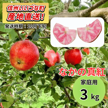 【りんご】 なかの真紅（なかのしんく） 3kg 予約販売 2026年10月下旬以降順次発送予定 送料込 長野県 飯綱町産 みつどんマルシェ 訳あり 自宅用 家庭用