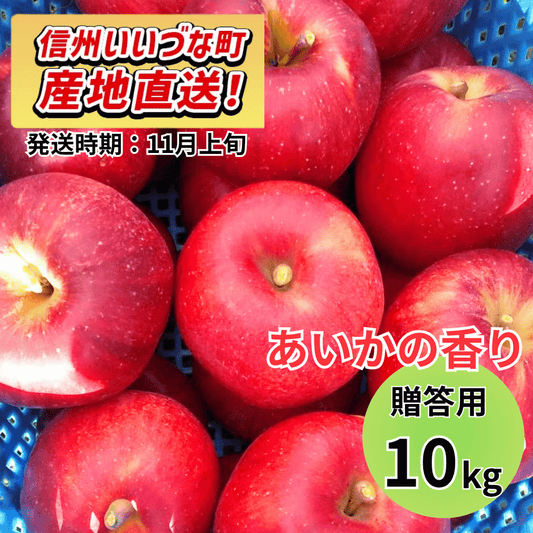 【りんご】 あいかの香り 10kg 予約販売 2026年11月上旬以降順次発送予定 送料込 長野県 飯綱町産 みつどんマルシェ 贈答用 贈答 ギフト