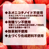 【りんご】 グラニースミス 10kg 〔ネオニコチノイド不使用 有機リン不使用 除草剤不使用〕 予約販売 2026年11月下旬以降順次発送予定 送料込 長野県 飯綱町産 みつどんマルシェ 贈答用 贈答 ネオニコフリー