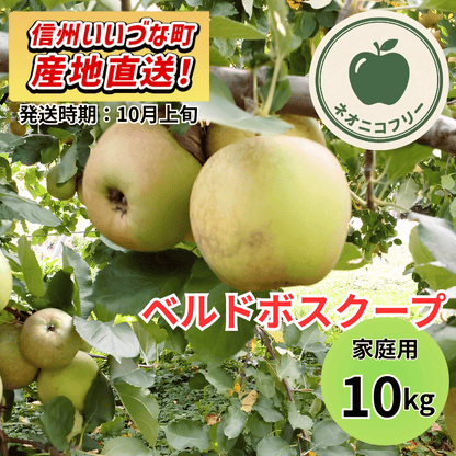 【りんご】 ベルドボスクープ 10kg 〔ネオニコチノイド不使用 有機リン不使用 除草剤不使用〕 予約販売 2026年10月上旬以降順次発送予定 送料込 長野県 飯綱町産 みつどんマルシェ 訳あり 自宅用 家庭用 ネオニコフリー