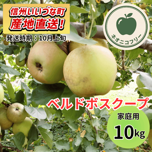 【りんご】 ベルドボスクープ 10kg 〔ネオニコチノイド不使用 有機リン不使用 除草剤不使用〕 予約販売 2026年10月上旬以降順次発送予定 送料込 長野県 飯綱町産 みつどんマルシェ 訳あり 自宅用 家庭用 ネオニコフリー
