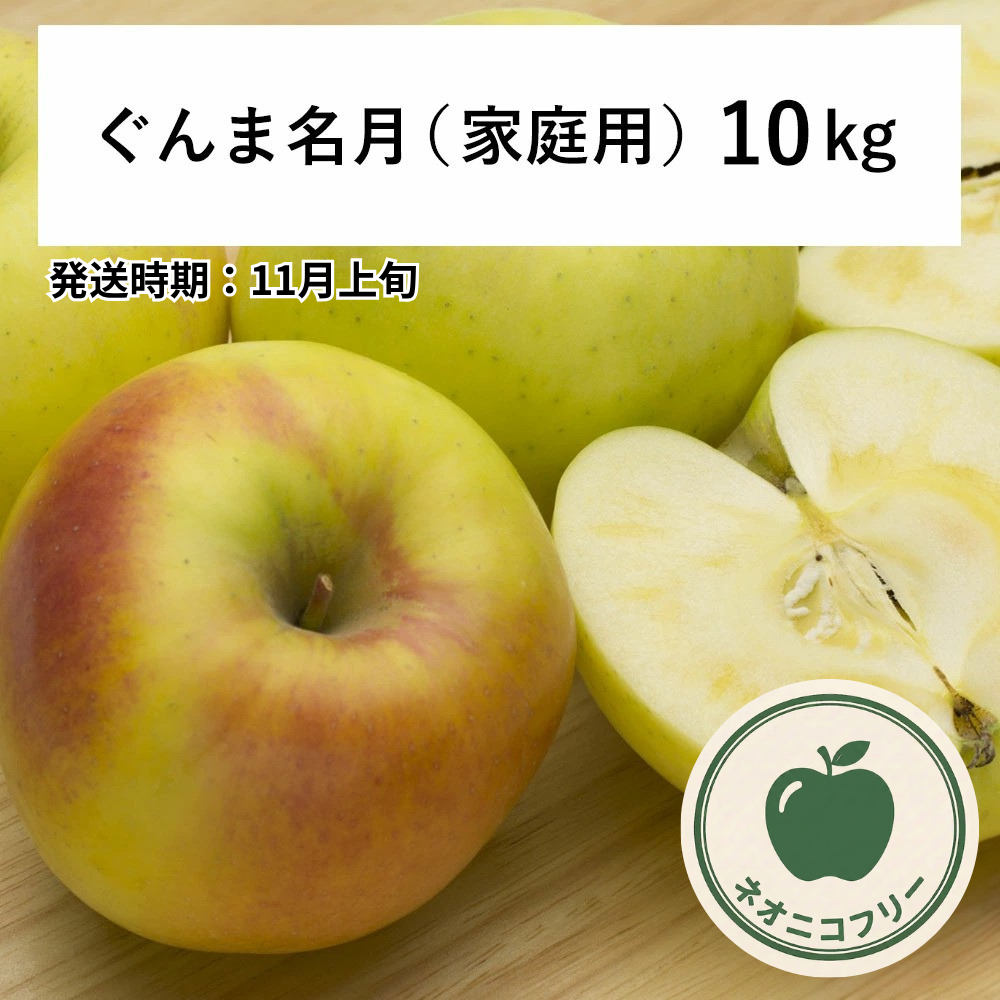 【りんご】 ぐんま名月 10kg 〔ネオニコチノイド不使用 有機リン不使用 除草剤不使用〕 予約販売 2026年11月上旬以降順次発送予定 送料込 長野県 飯綱町産 みつどんマルシェ 訳あり 自宅用 家庭用 ネオニコフリー