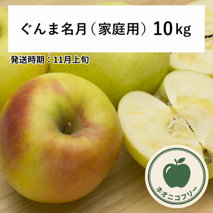 【りんご】 ぐんま名月 10kg 〔ネオニコチノイド不使用 有機リン不使用 除草剤不使用〕 予約販売 2026年11月上旬以降順次発送予定 送料込 長野県 飯綱町産 みつどんマルシェ 訳あり 自宅用 家庭用 ネオニコフリー