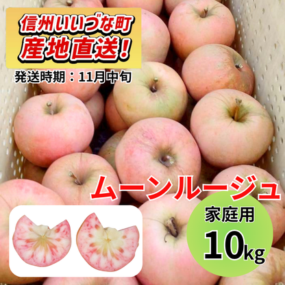 【りんご】 ムーンルージュ 10kg 予約販売 2026年11月中旬以降順次発送予定 送料込 長野県 飯綱町産 みつどんマルシェ 訳あり 自宅用 家庭用