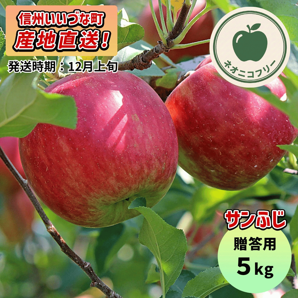 【りんご】 サンふじ 5kg 〔ネオニコチノイド不使用 有機リン不使用 除草剤不使用〕 予約販売 2026年12月上旬以降順次発送予定 送料込 長野県 飯綱町産 みつどんマルシェ 贈答用 贈答 ネオニコフリー