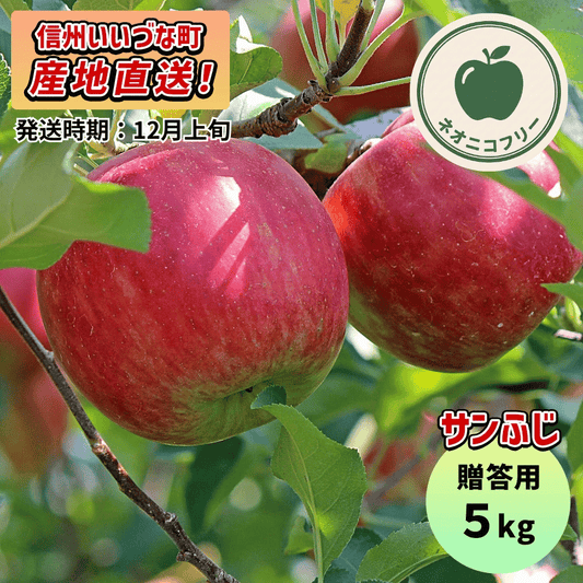 【りんご】 サンふじ 5kg 〔ネオニコチノイド不使用 有機リン不使用 除草剤不使用〕 予約販売 2026年12月上旬以降順次発送予定 送料込 長野県 飯綱町産 みつどんマルシェ 贈答用 贈答 ネオニコフリー