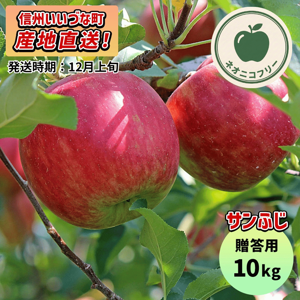 【りんご】 サンふじ 10kg 〔ネオニコチノイド不使用 有機リン不使用 除草剤不使用〕 予約販売 2026年12月上旬以降順次発送予定 送料込 長野県 飯綱町産 みつどんマルシェ 贈答用 贈答 ネオニコフリー
