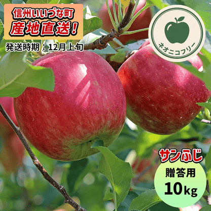 【りんご】 サンふじ 10kg 〔ネオニコチノイド不使用 有機リン不使用 除草剤不使用〕 予約販売 2026年12月上旬以降順次発送予定 送料込 長野県 飯綱町産 みつどんマルシェ 贈答用 贈答 ネオニコフリー