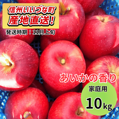 【りんご】 あいかの香り 10kg 予約販売 2026年11月上旬以降順次発送予定 送料込 長野県 飯綱町産 みつどんマルシェ 訳あり 自宅用 家庭用