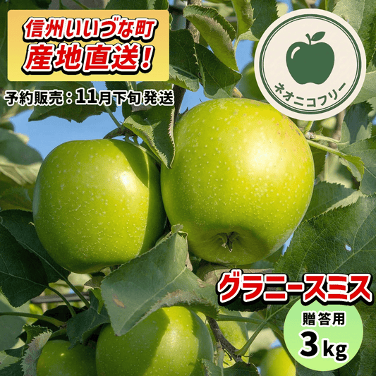 【りんご】 グラニースミス 3kg 〔ネオニコチノイド不使用 有機リン不使用 除草剤不使用〕 予約販売 2026年11月下旬以降順次発送予定 送料込 長野県 飯綱町産 みつどんマルシェ 贈答用 贈答 ネオニコフリー