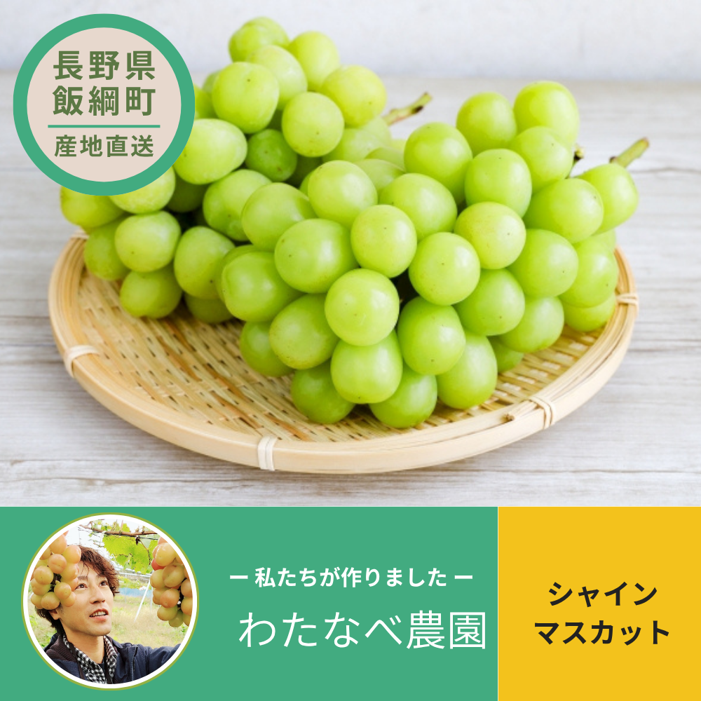【ぶどう】シャインマスカット 2~3房（約1kg) わたなべ農園 2026年9月中旬以降順次発送 送料込 長野県 飯綱町産 みつどんマルシェ