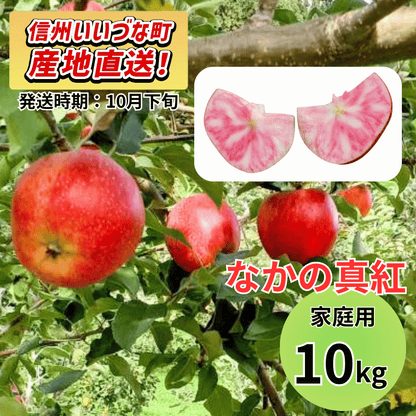 【りんご】 なかの真紅（なかのしんく） 10kg 予約販売 2026年10月下旬以降順次発送予定 送料込 長野県 飯綱町産 みつどんマルシェ 訳あり 自宅用 家庭用