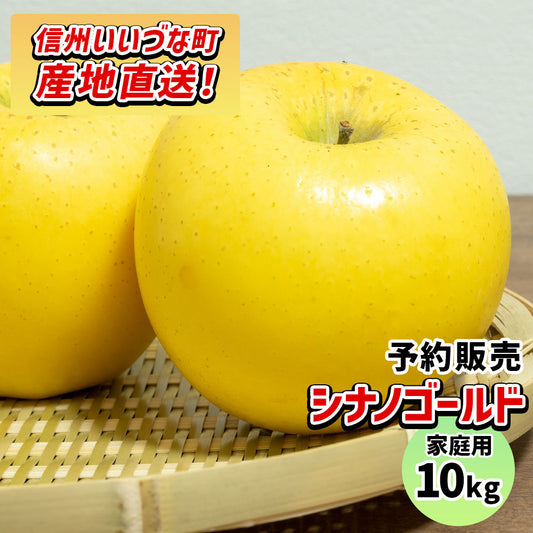 【りんご】 シナノゴールド 10kg 予約販売 11月上旬以降順次発送 送料込 長野県 飯綱町 家庭用 訳あり みつどんマルシェ