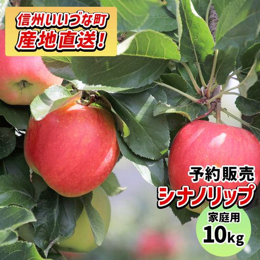 【りんご】 シナノリップ 10kg 予約販売 8月下旬以降順次発送 送料込 長野県 飯綱町 家庭用 訳あり みつどんマルシェ