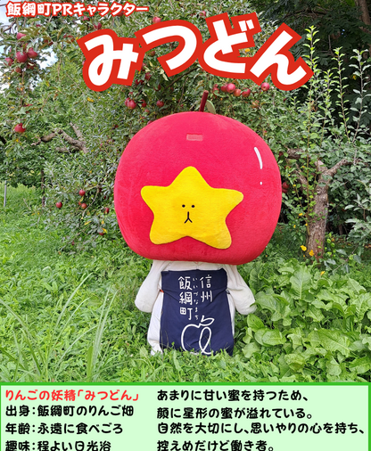 【手工芸品】 みつどんマスコットキーホルダー 手工芸品 キーホルダー マスコット 長野県 飯綱町 みつどんマルシェ