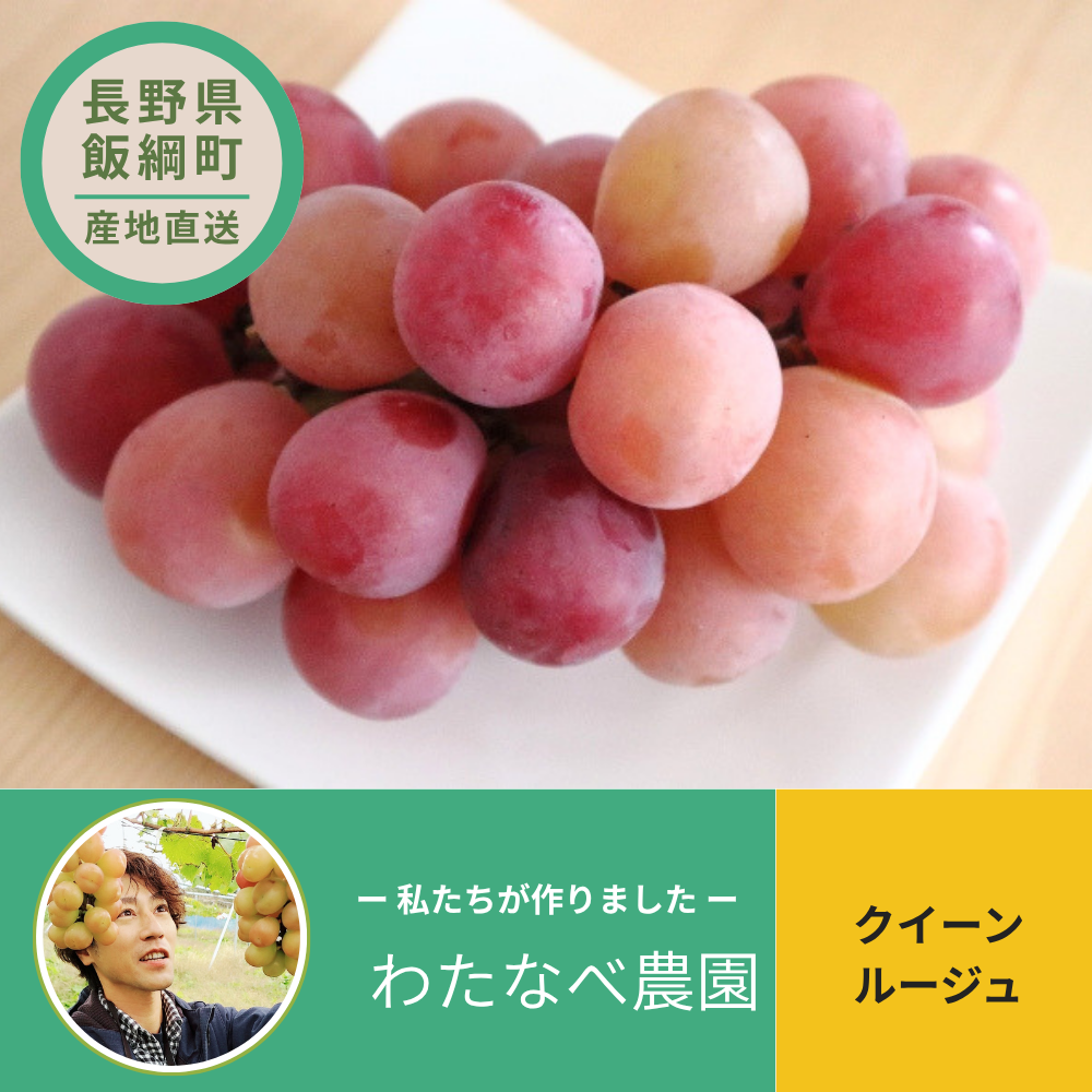 【ぶどう】クイーンルージュ 2~3房（約1kg) わたなべ農園 2026年9月中旬以降順次発送 送料込 長野県 飯綱町産 みつどんマルシェ