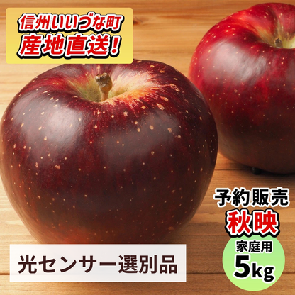 【りんご】感謝りんご 秋映 5kg  訳あり わけあり くだもの フルーツ 交換保証 不揃い 規格外 傷 光センサー 林檎  5キロ 産地直送 2026年10月上旬頃～10月下旬頃発送予定 送料無料 令和8年収穫分先行予約 長野県 飯綱町