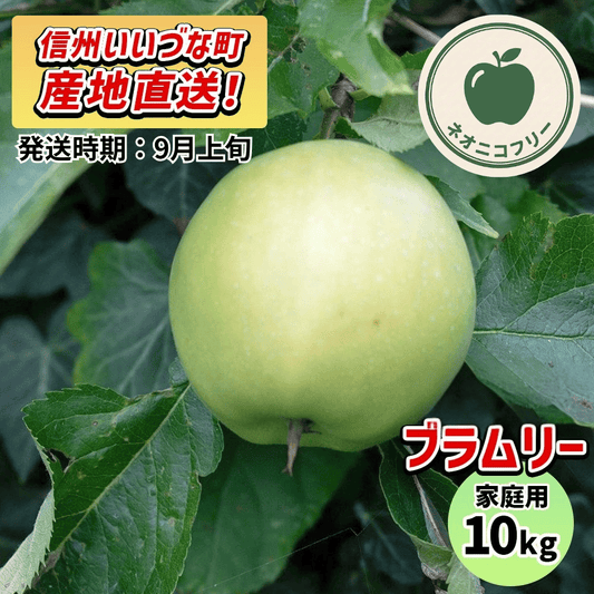 【りんご】 ブラムリー 10kg 〔ネオニコチノイド不使用 有機リン不使用 除草剤不使用〕 予約販売 2026年 9月上旬以降順次発送予定 送料込 長野県 飯綱町産 みつどんマルシェ 訳あり 自宅用 家庭用 ネオニコフリー