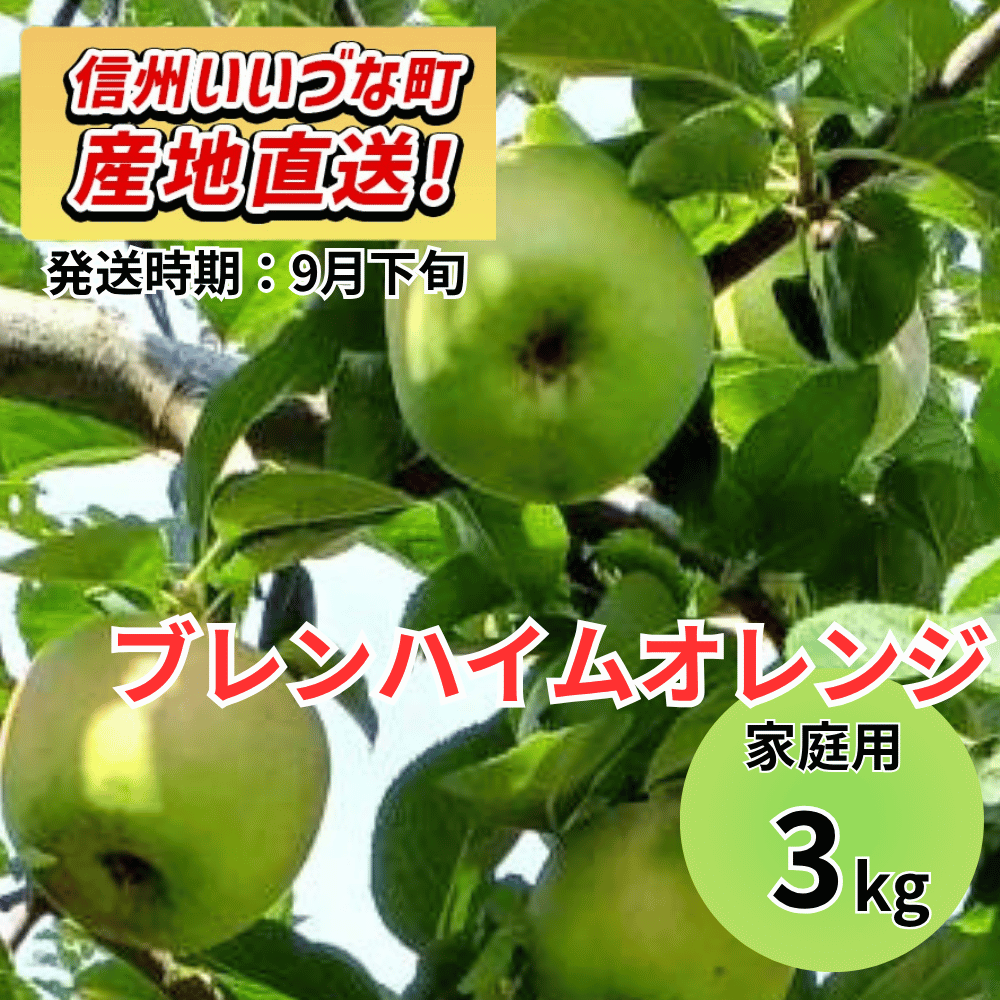 【りんご】 ブレンハイムオレンジ 3kg 予約販売 2026年9月下旬以降順次発送予定 送料込 長野県 飯綱町産 みつどんマルシェ 訳あり 自宅用 家庭用