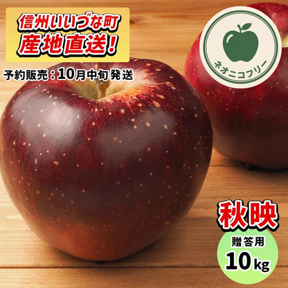 【りんご】 秋映 10kg 〔ネオニコチノイド不使用 有機リン不使用 除草剤不使用〕 予約販売 2026年10月中旬以降順次発送予定 送料込 長野県 飯綱町産 みつどんマルシェ 贈答用 贈答 ネオニコフリー