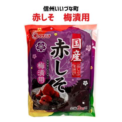 ●【梅加工品】 赤しそ 梅漬用 500g 梅干し 干し梅 梅 長野県 飯綱町 みつどんマルシェ