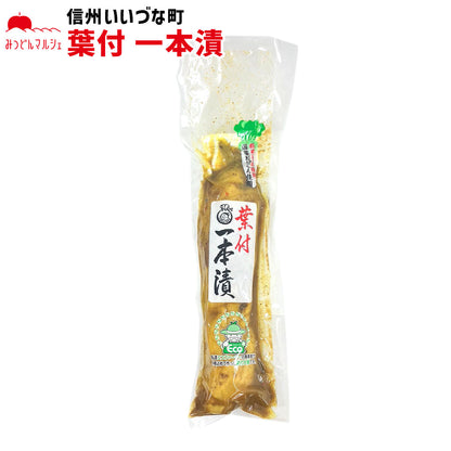 ■● 【たくあん漬】 葉付一本漬 一本入 たくあん漬け 漬物 長野県 飯綱町 みつどんマルシェ