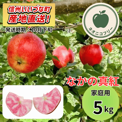【りんご】 なかの真紅（なかのしんく） 5kg 〔ネオニコチノイド不使用 有機リン不使用 除草剤不使用〕 予約販売 2026年10月下旬以降順次発送予定 送料込 長野県 飯綱町産 みつどんマルシェ 訳あり 自宅用 家庭用 ネオニコフリー