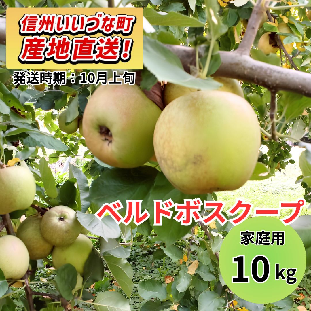 【りんご】 ベルドボスクープ 10kg 家庭用 10月上旬以降順次発送 長野県 飯綱町 みつどんマルシェ