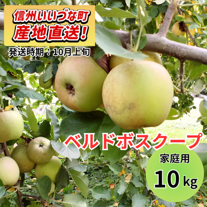 【りんご】 ベルドボスクープ 10kg 家庭用 10月上旬以降順次発送 長野県 飯綱町 みつどんマルシェ