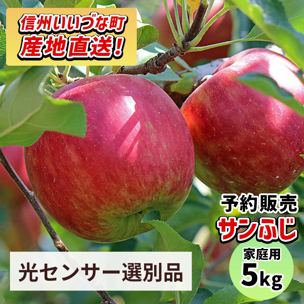【りんご】感謝りんご サンふじ 5kg  訳あり わけあり くだもの フルーツ 交換保証 不揃い 規格外 傷 光センサー 林檎  5キロ 産地直送 2026年12月以降順次発送予定 送料無料 令和8年収穫分先行予約 長野県 飯綱町