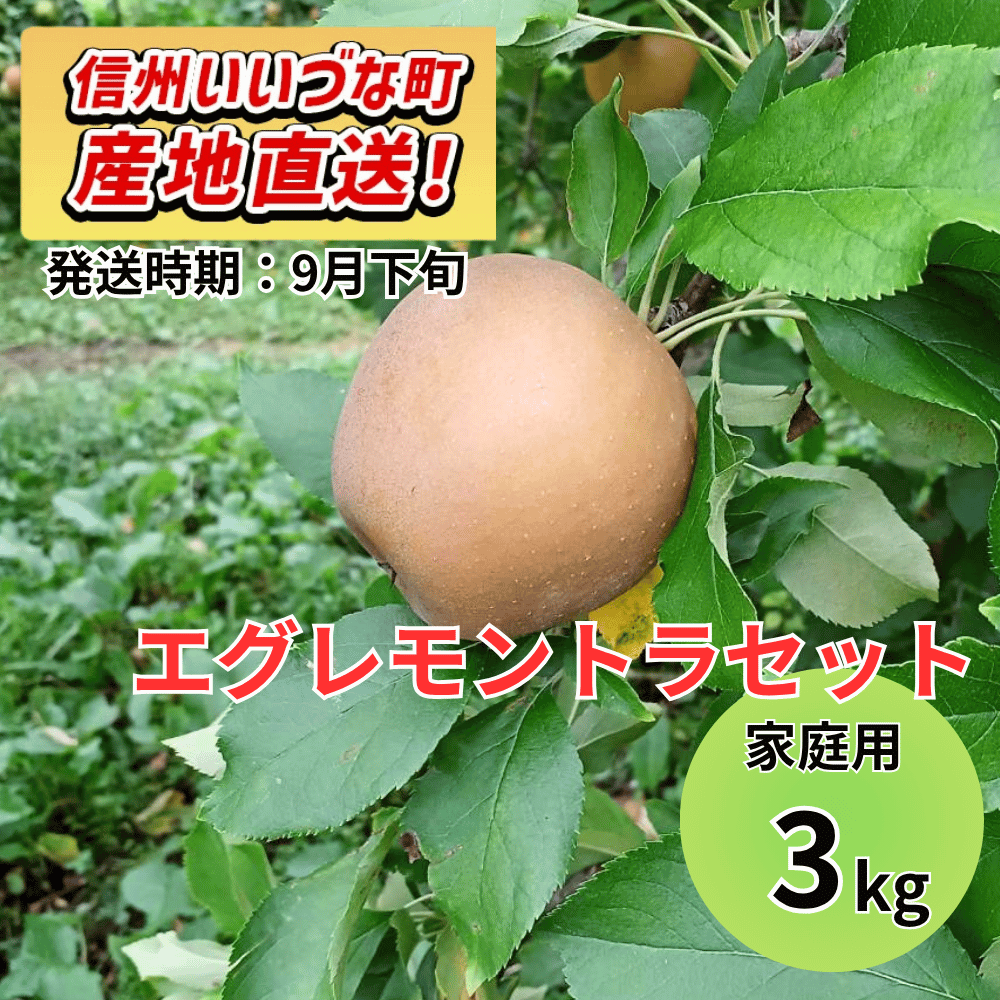 【りんご】 エグレモントラセット 5kg 予約販売 2026年9月下旬以降順次発送予定 送料込 長野県 飯綱町産 みつどんマルシェ 訳あり 自宅用 家庭用