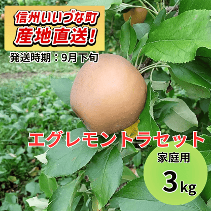 【りんご】 エグレモントラセット 5kg 予約販売 2026年9月下旬以降順次発送予定 送料込 長野県 飯綱町産 みつどんマルシェ 訳あり 自宅用 家庭用