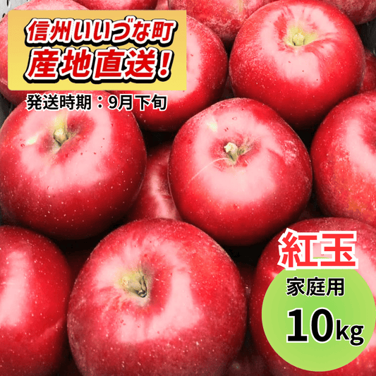 【りんご】 紅玉（こうぎょく） 10kg 予約販売 2026年9月下旬以降順次発送予定 送料込 長野県 飯綱町産 みつどんマルシェ 訳あり 自宅用 家庭用