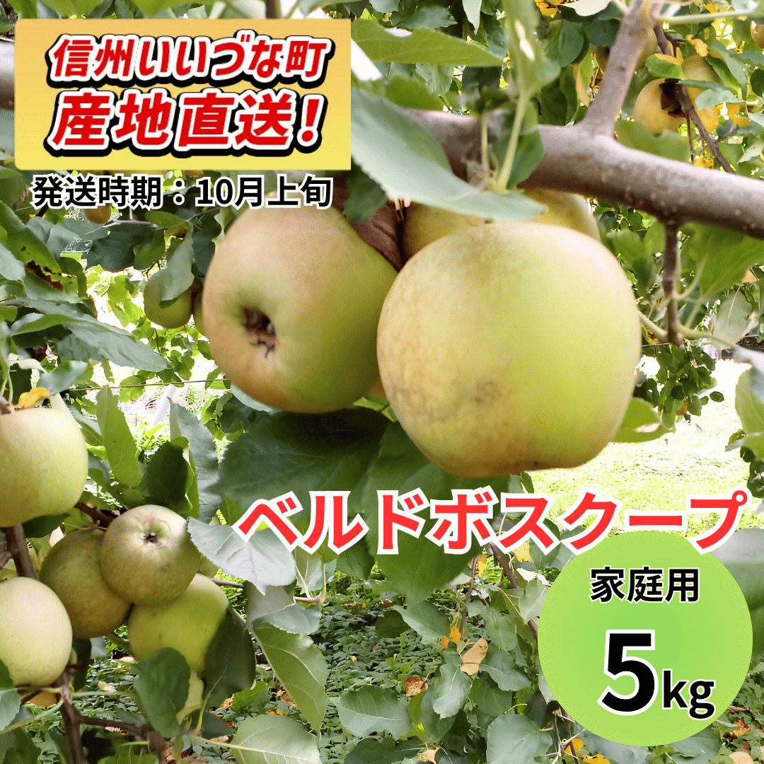 【りんご】 ベルドボスクープ 5kg 家庭用 10月上旬以降順次発送 長野県 飯綱町 みつどんマルシェ