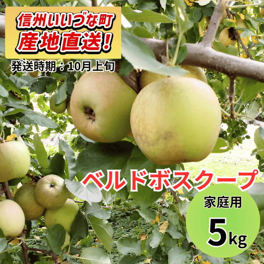 やらない【りんご】 ベルドボスクープ 5kg 家庭用 10月上旬以降順次発送 長野県 飯綱町 みつどんマルシェ