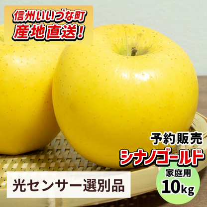 【りんご】感謝りんご シナノゴールド 10kg  訳あり わけあり くだもの フルーツ 交換保証 不揃い 規格外 傷 光センサー 林檎  5キロ 産地直送 2026年11月上旬頃～11月下旬頃発送予定 送料無料 令和8年収穫分先行予約 長野県 飯綱町