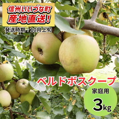 【りんご】 ベルドボスクープ 3kg 家庭用 10月上旬以降順次発送 長野県 飯綱町 みつどんマルシェ