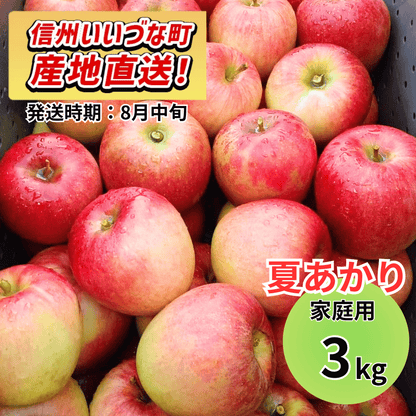 【りんご】 夏あかり 3kg 予約販売 2026年8月中旬以降順次発送予定 送料込 訳あり 自宅用 家庭用 長野県 飯綱町産  信州 フルーツ 果物 りんご みつどんマルシェ