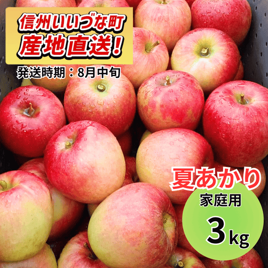 【りんご】 夏あかり 3kg 予約販売 2026年8月中旬以降順次発送予定 送料込 訳あり 自宅用 家庭用 長野県 飯綱町産  信州 フルーツ 果物 りんご みつどんマルシェ
