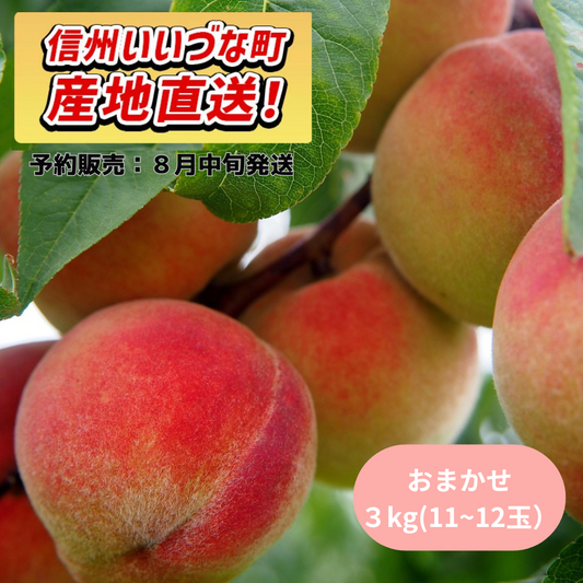 【もも】桃 品種おまかせ 3kg(11~12玉) 予約販売 8月中旬以降順次発送 クール便 長野県 飯綱町 みつどんマルシェ