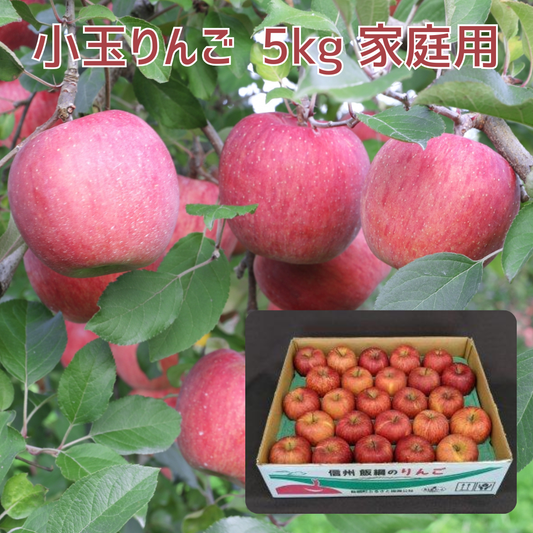 1月中旬以降発送 サンふじ りんご 小玉 5kg （23～25玉） 家庭用 長野県飯綱町 訳あり 送料無料