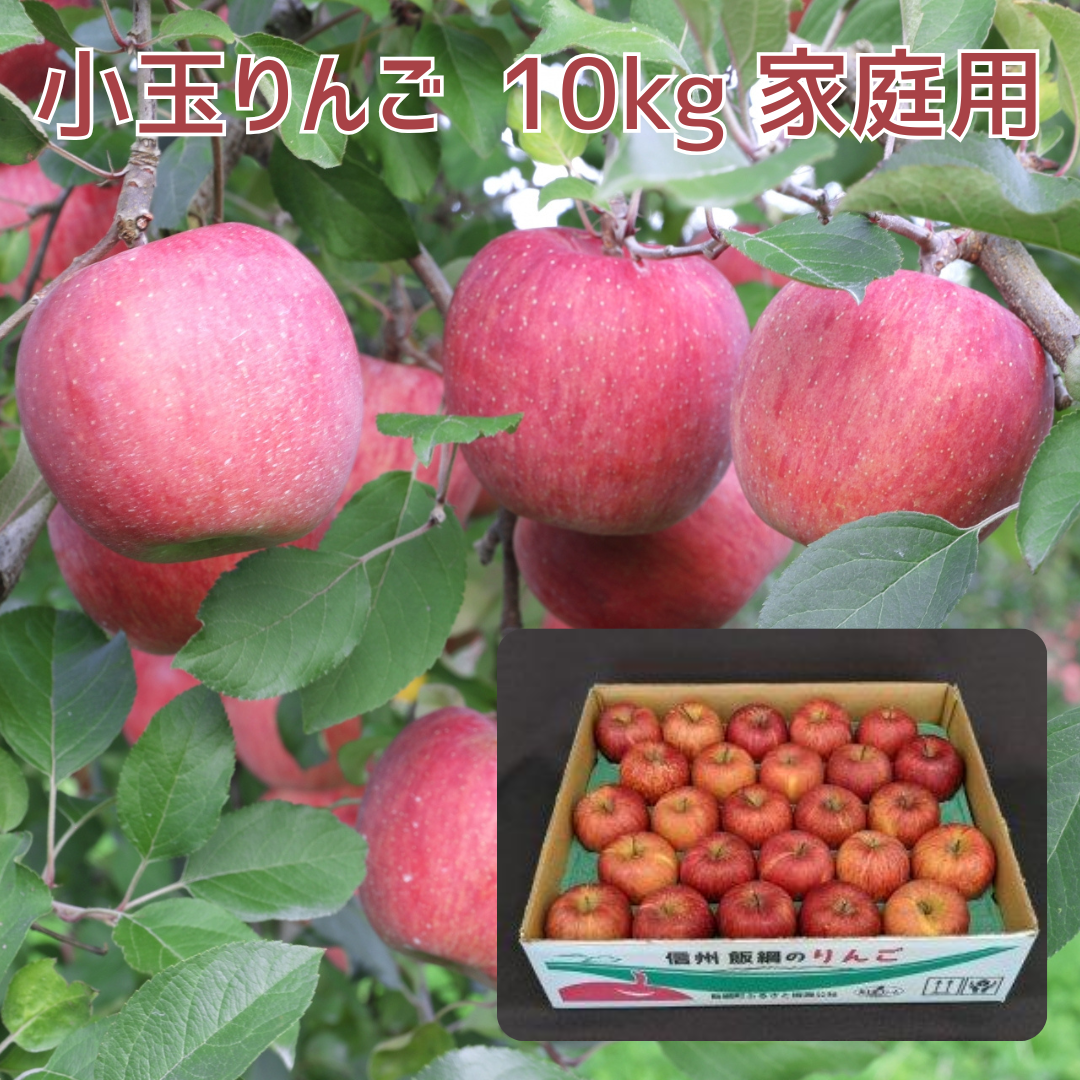 1月中旬以降発送 サンふじ りんご 小玉 10kg （46～50玉） 家庭用 長野県飯綱町 訳あり 送料無料 みつどんマルシェ